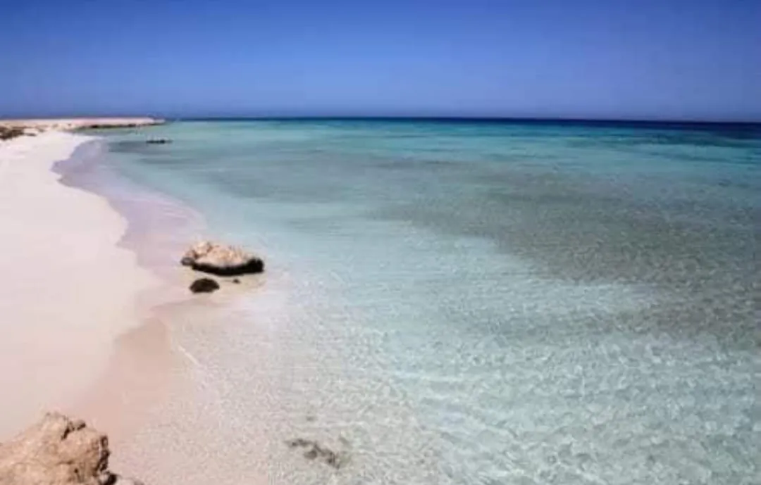 🏖️🌊 Sharm El Luli & El Qulaan Tour – Marsa Alam 🐠🌴 Sharm EL Luli /IMG-20260703-WA0006.jpg